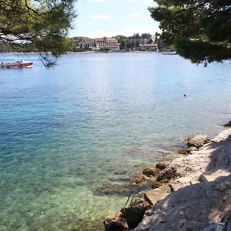 Сasa de vacaciones 13843 Korčula